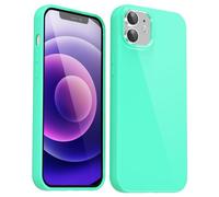 Svanove para iPhone 12 Mini Funda Silicona, Delgada Carcasa Colorida con Tacto Suave y Sedoso Gel TPU de Goma, Shockproof Protección de Cámara Funda, Mint Green