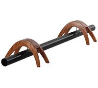 Svaram Sound Bridge Earth