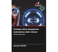 Sviluppo della spiegazione matematica della visione: Struttura della retina