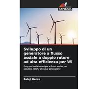 Sviluppo di un generatore a flusso assiale a doppio rotore ad alta efficienza per Wi