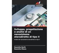 Sviluppo, progettazione e analisi di un nanosistema eterodiretto di tipo II