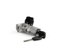 SWAG 33 11 1654 Cerradura de la dirección