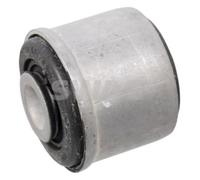 SWAG Horquilla Rodamientos Delantero Izquierdo para Renault Kangoo 1.6 16V 4x4