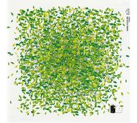 Swag - No Such Thing