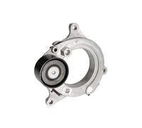 SWAG Poleas tensoras y de guía 20949527