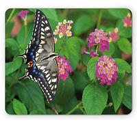 Swallowtail Butterfly Alfombrilla de ratón, Rare Butterfly en Blooming Spring Flowers Ecology Nature Theme, Tamaño estándar Rectángulo Antideslizante Alfombrilla de ráton de Goma, Green Pink Black