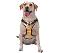 Swan in The Lake - Chaleco de tracción para mascotas, estampado XL, ideal para pasear perros, senderismo, viajes diarios