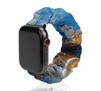 Swan Lake Landscape Scrunchie - Correa de repuesto elástica suave compatible con Apple Watch, 38mm/40mm, Acero inoxidable, No es una piedra preciosa