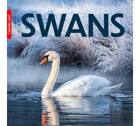 Swans 2026 Calendar: Elegant Swans in Stunning Photography - A Year of Grace, Love, and Natural Beauty