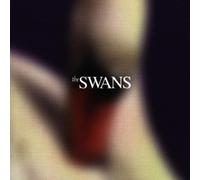 Swans,the - Photographs & Letters