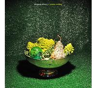 Swarming Branch - Surreal Number [Vinilo]