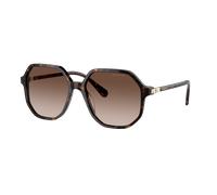 Swarovski Mujer Sunglass SK6003 - Color del Marco: Habana, Color de la Lente: Marrón Degradado