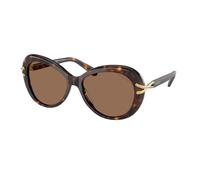 Swarovski Mujer Sunglass SK6026 - Color del Marco: Habana, Color de la Lente: Marrón Oscuro