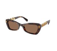 Swarovski Mujer SK6033 100273 Gafas de sol Acetato Tortuga Marrón Geométrico Normal