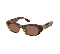 Swarovski Mujer Swarovski SK6036U 100273 Gafas de sol Acetato Tortuga Marrón Pillow Normal