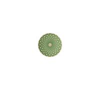Swarovski Rosenthal Piatto Verde 10cm Signum Fern Porcellana