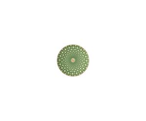 Swarovski Rosenthal Piatto Verde 10cm Signum Fern Porcellana