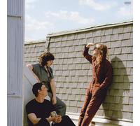 Swearin' Fall Into the Sun (Vinyl)