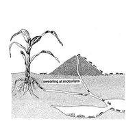 Swearing At Motorists - Swearing At Motorists