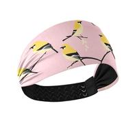 Sweet American Goldfinch Birds Blush - Diadema que absorbe la humedad y absorbe el sudor, banda elástica para el sudor, para maquillaje, ciclismo, lavado facial, colorido, perro salchicha y estrellas