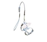 Sweet Angel Wing Arnés para Gatos Correa para Perros y Gatos al Aire Libre Juego de Correa Chaleco a Prueba de Agua Correa para el Pecho Accesorios para Gatitos (Azul S)