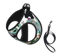 Sweet Basset Hound - Arnés de verano para perro con estampado floral y correa, arnés ajustable y reflectante para cachorros