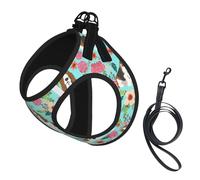 Sweet Basset Hound - Juego de arnés y correa para perros pequeños, chaleco suave ajustable con correas reflectantes de 360° para gatos y cachorros