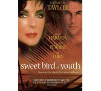 Sweet Bird Of Youth [1989] [DVD] [Reino Unido]