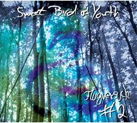 Sweet Bird of Youth - Flugversuch #2