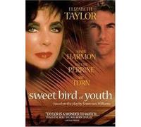 Sweet Bird of Youth [USA] [DVD]