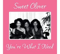 SWEET CLOVER - YOU'RE WHAT I NEED [Vinilo]