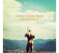 Sweet Gum Tree - Silvatica
