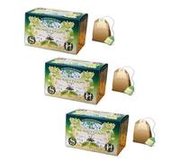 Sweet Herbs® | Infusión orgánica relajante y refrescante de pino mugo eucalipto tomillo menta | 3 x 20 filtros en bolsitas individuales (60 g)