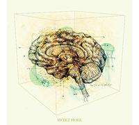 Sweet Hole - The First Of The Last Days