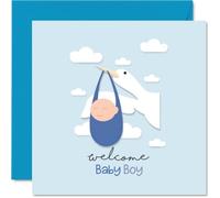 Sweet New Baby Card - Paquete de Joy Just Landed - Cigüeña alegre con ilustración de bebé niño en nubes suaves - Cuadrado de 145 mm, sobre incluido