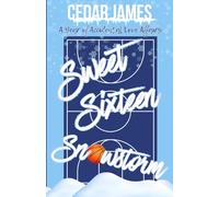 Sweet Sixteen Snowstorm (A Year of Accidental Love Affairs)