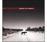 Sweet William - Gone to Seed