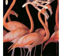 Sweet Williams - What's Wrong With You [VINYL] [Vinilo]