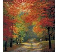 Sweethome - Kit de punto de cruz con diseño de hojas de otoño, 14 quilates, 400 x 400 puntadas, 82 x 82 cm, kit de punto de cruz contado