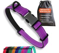 Sweetie Collar para Perros Acolchado Neopreno - Reflectante, Anillo Aluminio Anti-Óxido, Antitirones - Ajustable S M L Collar Perro Mediano Pequeño y Grande - Collares Perro - Morado