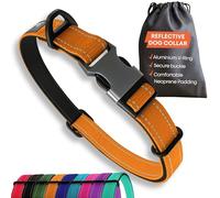 Sweetie Collar para Perros Acolchado Neopreno - Reflectante, Anillo Aluminio Anti-Óxido, Antitirones - Ajustable S M L Collar Perro Mediano Pequeño y Grande - Collares Perro - Naranja
