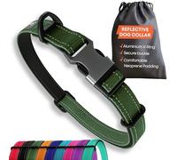 Sweetie Collar para Perros Acolchado Neopreno - Reflectante, Anillo Aluminio Anti-Óxido, Antitirones - Ajustable S M L Collar Perro Mediano Pequeño y Grande - Collares Perro - Verde