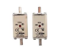 SWEWDSQG 1 Uds 50/63/80/100NHG00B-690 160/125NH00B-690V 100A 125A Fusible(100A 690V)