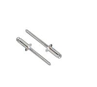 SWGAutomotive 93761255 Remache ciego