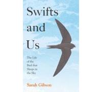 Swifts and Us: The Life of the Bird that Sleeps in the Sky