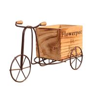 Swiixxer Soporte para Plantas de Bicicleta, Maceta de Alambre de Metal, Maceta de Hierro Forjado para JardíN, Patio, Oficina, DecoracióN Exterior e Interior