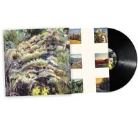 SWIM SURREAL - IN THE HALF LIGHT [Vinilo]