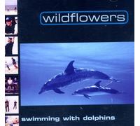 Swimming With Dolphins