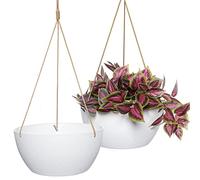 SwinDuck Paquete de 2 macetas Colgantes Grandes de 12 Pulgadas para Plantas de Interior y Exterior, macetas Colgantes de plástico para Plantas de casa, Flores, Color Blanco