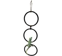 Swing Hoop Toy with Chain for Reptile Tank, Interactive Snake Playground Accessory, Hanging Enrichment for Amphibian Habitat, Indoor Pet Climbing Fixture, 11.4x42cm
